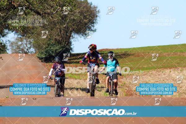 Foto 8204825