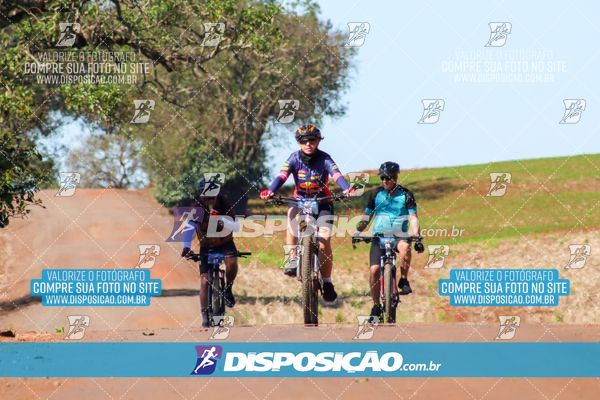 Foto 8204824