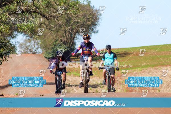 Foto 8204828