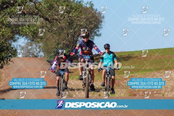Foto 8204829