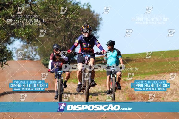 Foto 8204832
