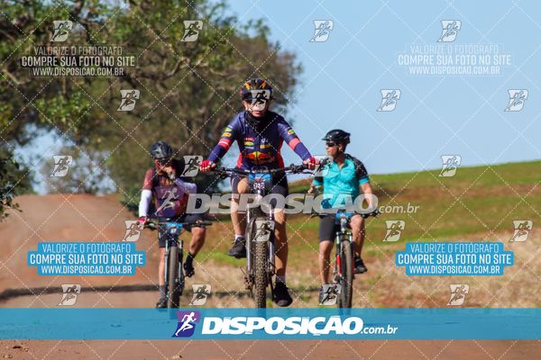 Foto 8204831