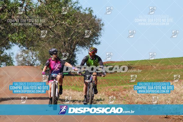 Foto 8204890