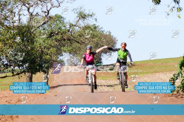 Foto 8204894