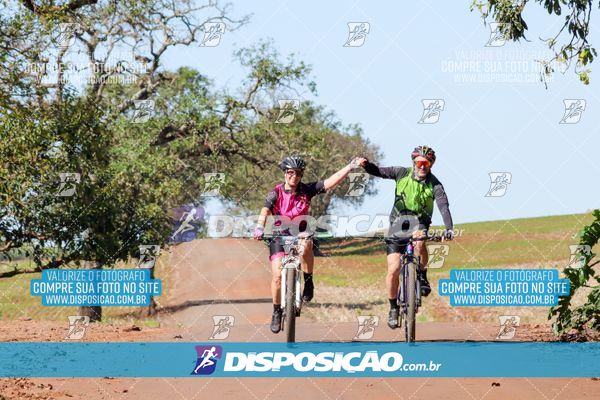 Foto 8204898