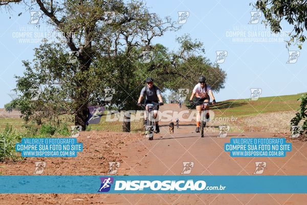 Foto 8204914