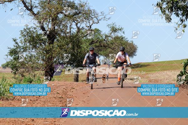 Foto 8204915