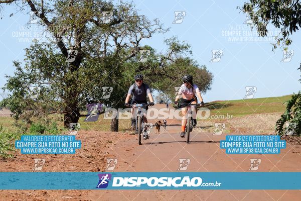 Foto 8204917