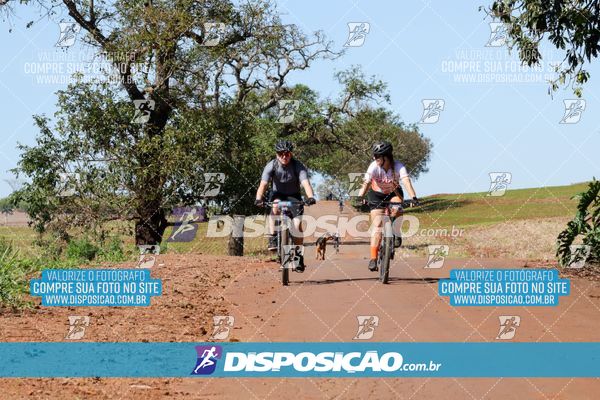 Foto 8204920