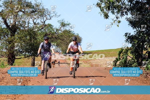 Foto 8204918