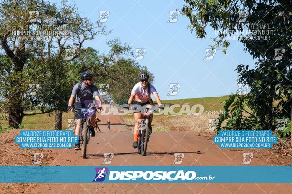 Foto 8204919