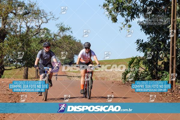 Foto 8204921