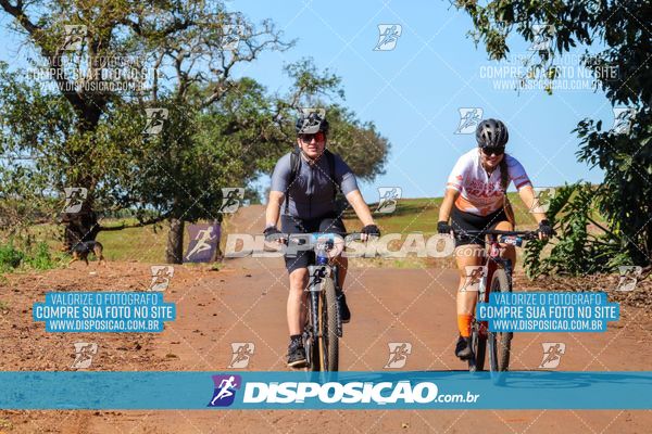 Foto 8204923