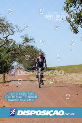 Foto 8204929