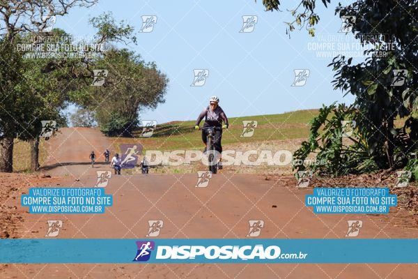 Foto 8204946