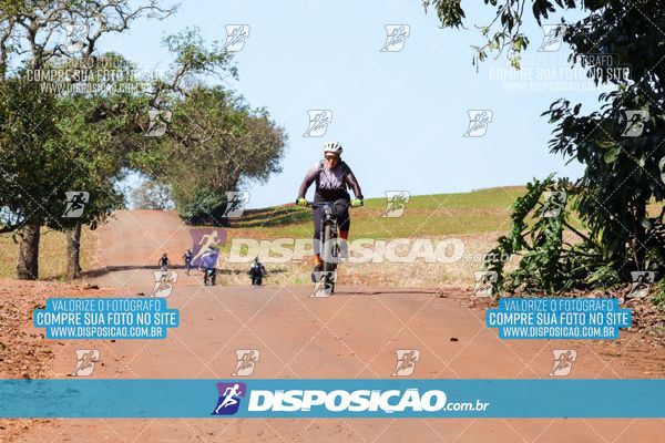 Foto 8204945