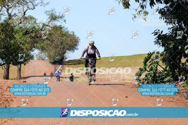 Foto 8204948