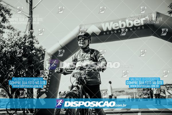 Foto 8225041