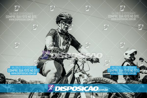 Foto 8225618