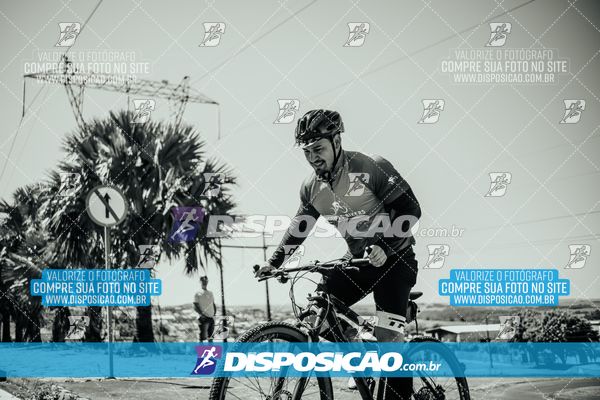Foto 8225719