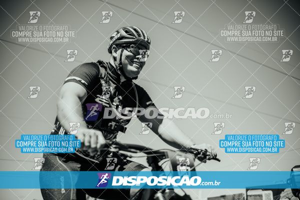 Foto 8225815