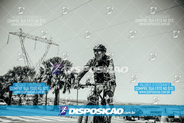 Foto 8225570