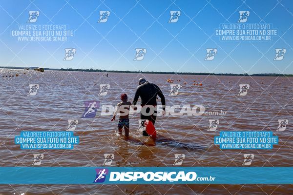 Foto 8219482