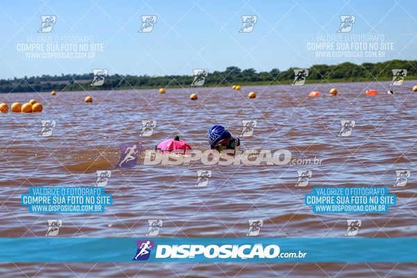 Foto 8220210