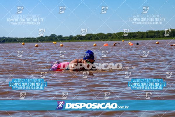Foto 8220094