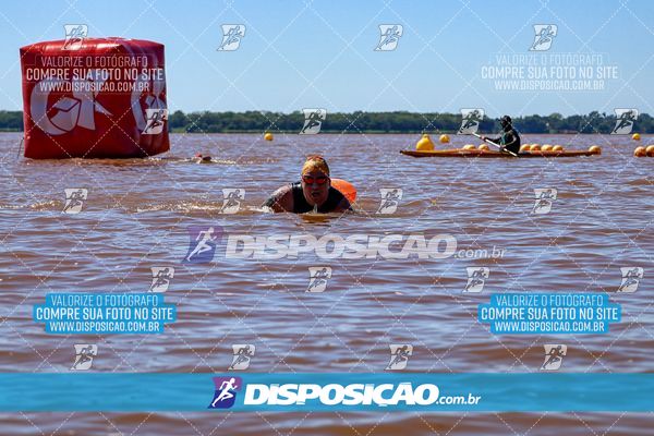 Foto 8219289