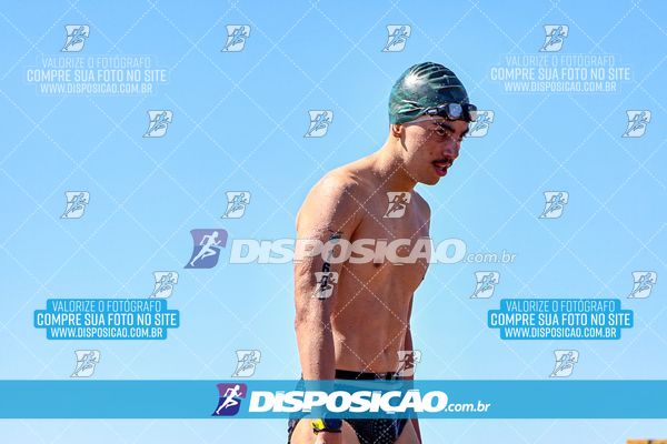 Foto 8219738