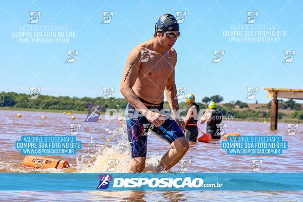 Foto 8219938