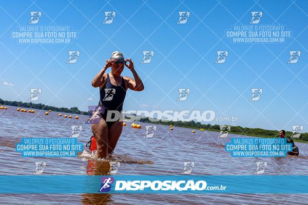 Foto 8219372