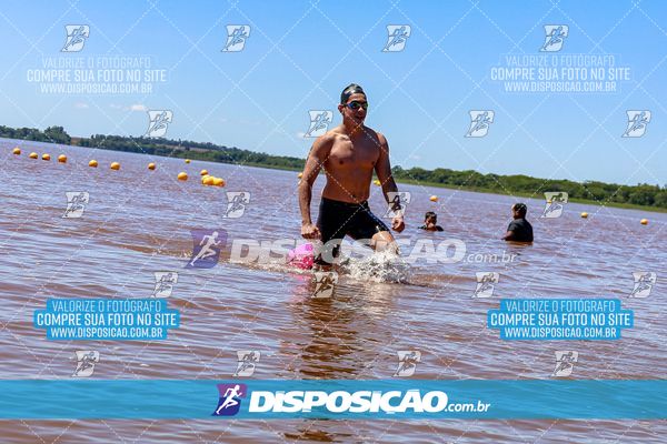 Foto 8219323