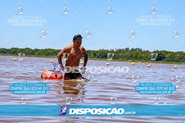 Foto 8220295