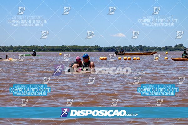 Foto 8218628