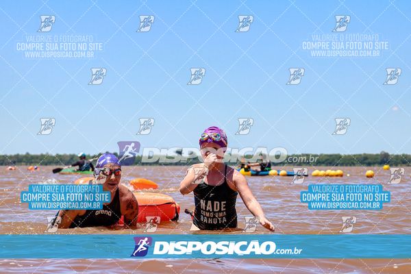Foto 8219111