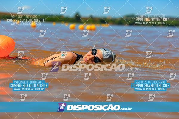 Foto 8221419