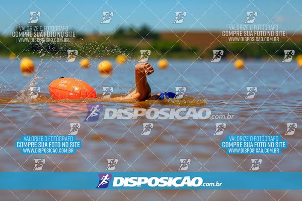 Foto 8223057