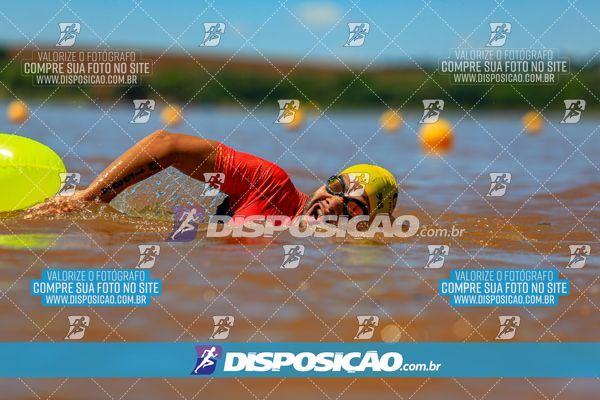 Foto 8223103