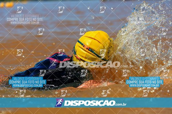 Foto 8222496