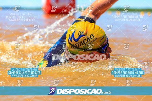 Foto 8221214