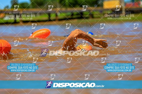 Foto 8221112