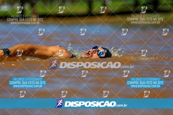 Foto 8223741