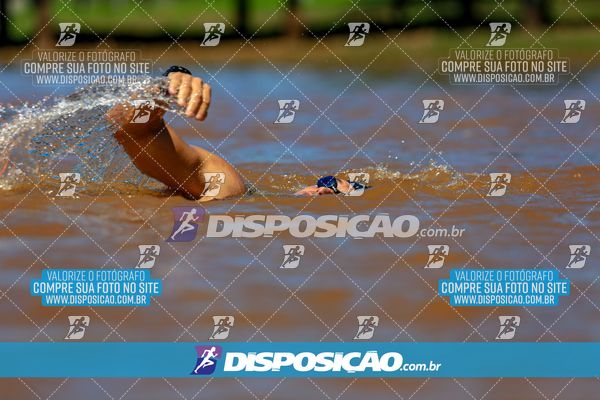 Foto 8223918