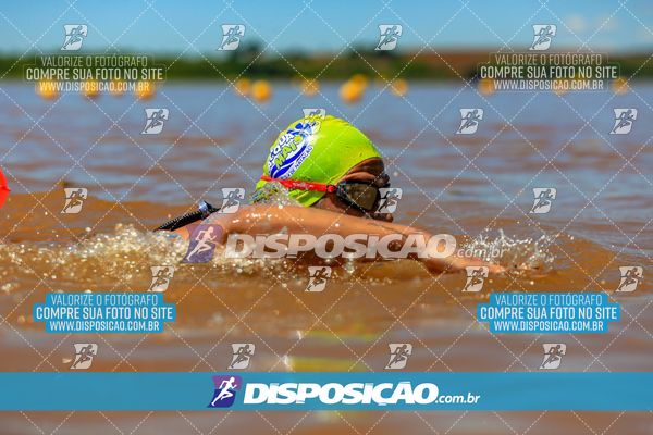 Foto 8221831