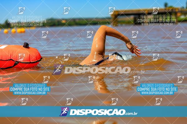 Foto 8222016