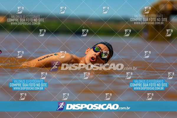 Foto 8223294