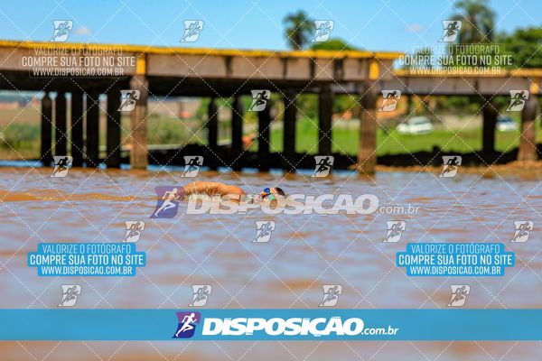 Foto 8222123