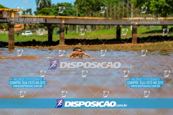 Foto 8222331